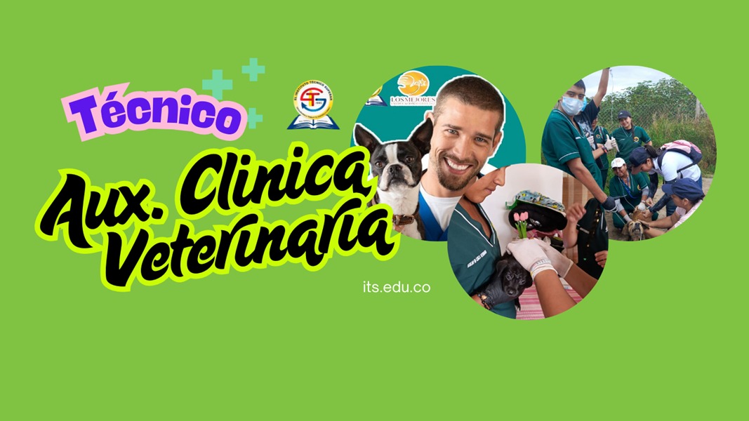 Imagen de WhatsApp 2025-09-19 a las 10.49.36_8481f5fe